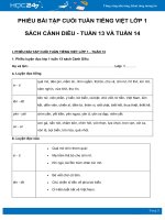 Phiếu bài tập cuối tuần môn Tiếng Việt lớp 1 sách Cánh Diều - Tuần 13 và Tuần 14