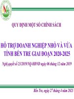 Chi+Nguyen+Huong+Giang_SIPC+Ben+Tre_Presentation+Chinh+sach+ho+tro+DNNVV-NQ+23+(1)