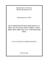 LUẬN văn THẠC sĩ QUẢN TRỊ rủi RO tín DỤNG KHÁCH HÀNG cá NHÂN tại NGÂN HÀNG NÔNG NGHIỆP và PHÁT TRIỂN NÔNG THÔN VIỆT NAM – CHI NHÁNH đắk NÔNG