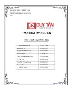 Môn  hành vi người tiêu dùng đề tài văn hóa tây NGUYÊN 