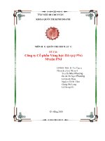 quản trị chiến lược  đề tài công ty công ty vàng  bạc đá quý phú nhuận PNJ 