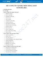 Đề cương ôn tập HK2 môn Tiếng Anh 5 năm 2021-2022