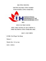 BÁO cáo THỰC HÀNH môn THỰC HÀNH các QUÁ TRÌNH và THIẾT bị TRONG CÔNG NGHỆ hóa học bài 9  cột CHÊM 