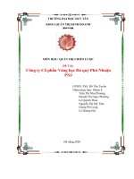 quản trị chiến lược  đề tài công ty công ty vàng  bạc đá quý phú nhuận PNJ 