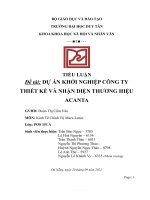 TIỂU LUẬN đề tài dự án KHỞI NGHIỆP CÔNG TY THIẾT kế và NHẬN DIỆN THƯƠNG HIỆU ACANTA 