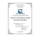 BÀI tập NHÓM PHÂN TÍCH tài CHÍNH DOANH NGHIỆP CÔNG TY cổ PHẦN PHÁT TRIỂN hạ TẦNG VĨNH PHÚC 
