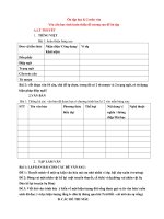 Ôn tập học kì 2 môn văn 6 BỘ SÁCH KẾT NỐI TRI THỨC VÀ CUỘC SỐNG