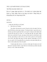 Vi phạm pháp luật hình sự   cấu thành của vi phạm pháp luật hình sự  trách nhiệm hình sự áp dụng cho hành vi đăng thông tin không đúng trên các trang mạng xã hội  
