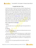 Tả nghệ sĩ hài Lâm Vỹ Dạ