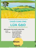 tiểu luận môn quản trị chuỗi cung ứng ưu, NHƯỢC điểm của CHUỖI CUNG ỨNG lúa gạo ở TỈNH QUẢNG NGÃI 