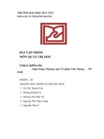 BÀI tập NHÓM môn QUẢN TRỊ học công ty nghiên cứu ngân hàng thương mại cổ phần tiên phong – TP bank 
