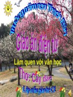 lam_quen_van_hoc_tho_cay_dao_291201915
