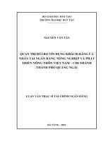 LUẬN văn THẠC sĩ QUẢN TRỊ rủi RO tín DỤNG KHÁCH HÀNG cá NHÂN tại NGÂN HÀNG NÔNG NGHIỆP và PHÁT TRIỂN NÔNG THÔN VIỆT NAM – CHI NHÁNH THÀNH PHỐ QUẢNG NGÃI