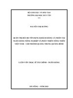 LUẬN văn THẠC sĩ QUẢN TRỊ rủi RO tín DỤNG KHÁCH HÀNG cá NHÂN tại NGÂN HÀNG NÔNG NGHIỆP và PHÁT TRIỂN NÔNG THÔN VIỆT NAM – CHI NHÁNH QUANG TRUNG QUẢNG BÌNH