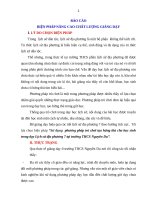 báo cáo thi biện pháp thi GVDG cấp thành phố môn lịch sử