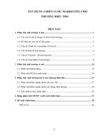 TIỂU LUẬN xây DỰNG CHIẾN lược MARKETING CHO THƯƠNG HIỆU TIKI 