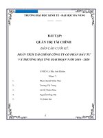BÁO cáo CUỐI kỳ PHÂN TÍCH tài CHÍNH CÔNG TY cổ PHẦN đầu tư và THƯƠNG mại TNG GIAI đoạn năm 2016   2020 