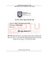 Phân tích hành vi tiêu dùng trong du lịch của khách mỹ theo các yếu tố và các chính sách marketing để thu hút thị trƣờng khách này tại công ty VITOURS đà nẵng 