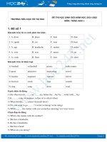 Bộ 5 đề thi HSG môn Tiếng Anh 5 có đáp án năm 2021-2022 Trường TH Võ Thị Sáu