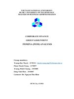 CORPORATE FINANCE GROUP ASSIGNMENT POMINA (POM) ANALYSIS 2 