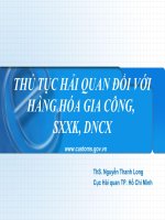 THỦ TỤC HẢI QUAN ĐIỆN TỬ THỦ TỤC HẢI QUAN ĐỐI VỚI HÀNG HÓA GIA CÔNG, SXXK, DNCX. ThS Nguyễn Thanh Long. Cục Hải quan TP Hồ Chí Minh