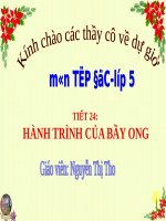 Hanh trinh cua bay ong