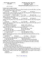 Đề thi giữa học kỳ 2 môn GDCD 11 năm 2021 – 2022 sở GD&ĐT Bắc Ninh