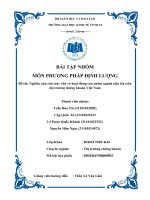 BÀI tập NHÓM đề tài nghiên cứu cấu trúc vốn và hoạt động của nhóm ngành tiện ích trên thị trường chứng khoán việt nam 