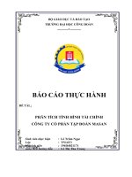 BÁO cáo THỰC HÀNH đề tài  PHÂN TÍCH TÌNH HÌNH tài CHÍNH CÔNG TY cổ PHẦN tập đoàn MASAN 
