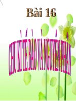 Tiết-456-_Bai-16_-chu-kì-tế-bào-và-Nguyên-phan