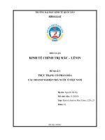 TIỂU LUẬN  KINH TẾ CHÍNH TRỊ MÁC – LÊNIN  Đề tài số 1  THỰC TRẠNG CỔ PHẦN HÓA  CÁC DOANH NGHIỆP NHÀ NƯỚC Ở VIỆT NAM