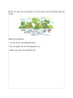 Bài giảng bài 24 KHTN 6