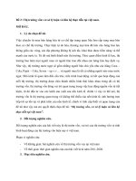 đề tài thị trường vốn, cơ sở lý luận và liên hệ thực tiễn tại việt nam