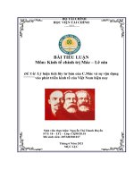 ĐỀ tài lý luận tích lũy tư bản của c mác và sự vận dụng vào phát triển kinh tế của việt nam hiện nay 