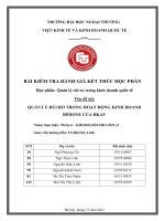 Học phần quản lý rủi ro trong kinh doanh quốc tế tên đề tài QUẢN lý rủi RO TRONG HOẠT ĐỘNG KINH DOANH BPHONE của BKAV 