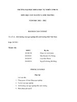 BÀI báo cáo CUỐI kỳ tên đề tài ảnh hưởng của ngư nghiệp đến môi trường biển việt nam