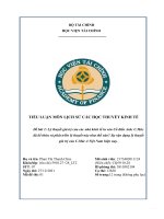 Lý thuyết giá trị của các nhà kinh tế tư sản cổ điển anh  c mác đã kế thừa và phát triển lý thuyết này như thế nào sự vận dụng lý thuyết giá trị của c mác ở việt nam hiện nay  