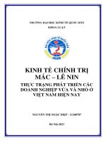 KINH TẾ CHÍNH TRỊ  MÁC – LÊ NIN  THỰC TRẠNG PHÁT TRIỂN CÁC DOANH NGHIỆP VỪA VÀ NHỎ Ở  VIỆT NAM HIỆN NAY