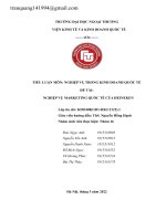 TIỂU LUẬN MÔN NGHIỆP VỤ TRONG KINH DOANH QUỐC TẾ ĐỀ TÀI NGHIỆP VỤ MARKETING QUỐC TẾ CỦA HEINEKEN