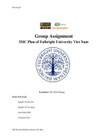 Group assignment IMC plan of fulbright university viet nam 