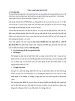 Thực trạng buôn bán động vật hoang dã