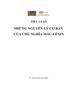 TIỂU LUẬN vận dụng ý nghĩa phương pháp luận của cặp phạm trù để đánh giá bản chất nhà nước ta hiện nay với các hiện tượng biểu hiện bản chất đó  những hiện tượng cán bộ tham nhũng có phải bản chất 