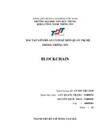 BÀI tập lớn đồ án CUỐI kì môn QUẢN TRỊ hệ THỐNG THÔNG TIN BLOCKCHAIN 