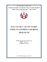 BÁO cáo THỰC tập tốt NGHIỆP CÔNG TY cổ PHẦN tập đoàn THÁI TUẤN 