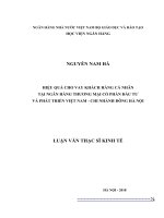 HIỆU QUẢ CHO VAY KHÁCH HÀNG CÁ NHÂN  TẠI NGÂN HÀNG THƯƠNG MẠI CỔ PHẦN ĐẦU TƯ  VÀ PHÁT TRIỂN VIỆT NAM - CHI NHÁNH ĐÔNG HÀ NỘI  LUẬN VĂN THẠC SĨ KINH TẾ