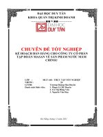 KẾ HOẠCH BÁN HÀNG CHO CÔNG TY CỔ PHẦN TẬP ĐOÀN MASAN VỀ SẢN PHẨM NƯỚC MẮM CHINSU