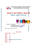 BÁO cáo THỰC HÀNH môn  hóa vô cơ  HIĐRO và các NGUYÊN tố PHÂN NHÓM IB, IIB   các NGUYÊN tố PHÂN NHÓM VIIA 