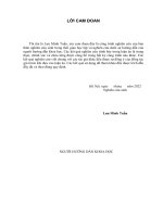 (Luận án tiến sĩ) Nghiên cứu, phát triển một số phương pháp tóm tắt văn bản sử dụng kĩ thuật học sâu