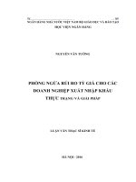 1331 phòng ngừa rủi ro tỷ giá cho các doanh nghiệp xuất nhập khẩu  thực trạng và giải pháp   luận văn thạc sỹ (FILE WORD)