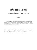 BÀI TIỂU LUẬN MÔN PHÁP LUẬT ĐẠI CƯƠNGPhân tích sự khác nhau giữa bản chất kiểu nhà nước bóc lột và bản chất của nhà nước XHCN? Liên hệ thực tiễn Nhà nước Cộng hòa XHCN Việt Nam?